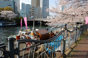 桜を見ながら船上でわっしょい。