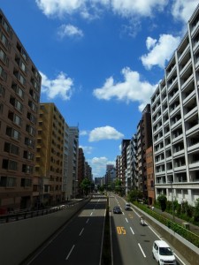 夏真っ盛りだ。